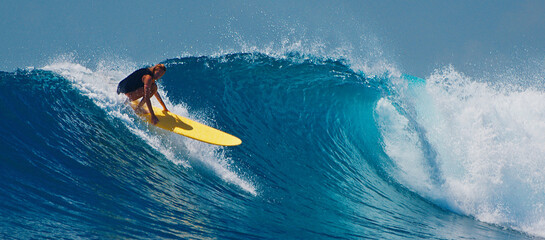Woman surfer surfs the perfect ocean wave in the Maldives - obrazy, fototapety, plakaty
