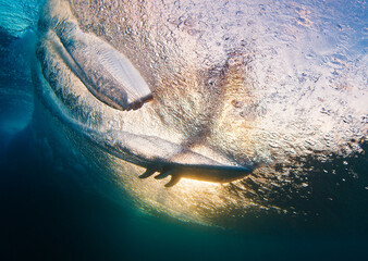 Surfer rides the wave and grabs the water surface. Underwater through the wave view of the surfer...