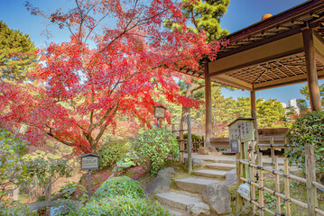 広島の日本庭園、縮景園