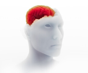 Neurology, philosophy: connections, the development of thought and reflection, the infinite possibilities of the brain and mind. Human anatomy. Digital reality, artificial consciousness. 3d rendering