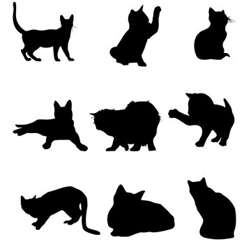 Various cat vector silhouettes, pet vector flat icons.