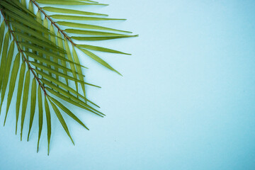 Palm leaves on blue background. Top view with copy space.