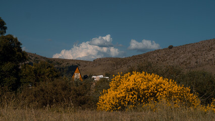 sheep in the mountains