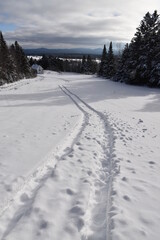 Tracks in the snow, Sainte-Apolline, Québec, Canada