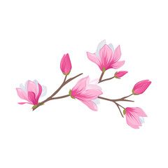 Magnolia branch with pink flower and leaves illustration composition with flowers
