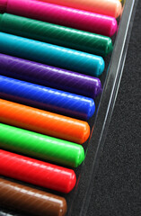 Covers Of Felt-Tip Pens Laid Out In Line In Plastic Case Stock Photo For Vertical Story
