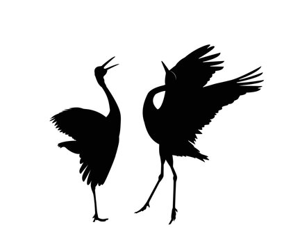 Crane silhouette, vector drawing. Illustration of a red-necked and headed crane, posing beautifully. Vector illustration.