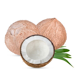 Fresh raw coconut set with palm leaves isolated on transparent.