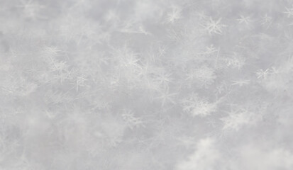 Small white snowflakes in winter as a background.