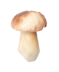 Fresh boletus mushroom isolated on white background