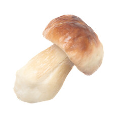 Fototapeta premium Fresh boletus mushroom isolated on white background