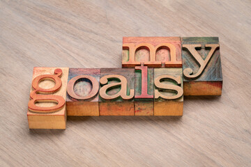 my goals - word abstract in letterpress wood type against grained wooden background, goal setting concept
