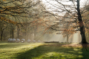 Rotterdam, The Netherlands, November 29, 2022: a play of shadows and sunrays near sculpture The Lost Pearl in the Park in late autumn