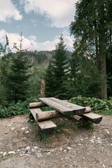 Fototapeta premium Empty wooden bench and table furniture for a panoramic view during picnic time. Concept of traveling with the whole family.