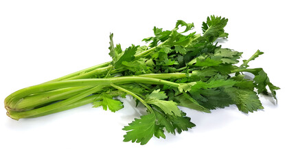 Celery. Fresh green stems with leaves with natural shadow on a white background