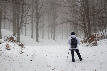 hiker walking in the snow in the forest
