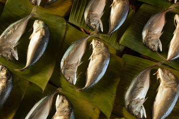 steamed mackerel arranged neatly on banana leaves to be sold in the market