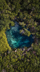 Cenote paradise’s heart in the middle of the nature in Tulum, Mexico. Romantic concept in the middle of the nature. Clear water so you can see the depth. Empty cenote , no a single person on it.