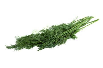 Bunch of fresh green dill on a white background.