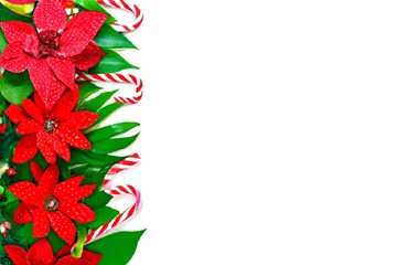 Poinsettia and candy cane background with copy space. Holiday and Christmas seasonal illustration