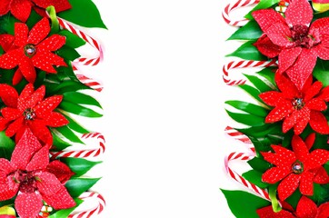 Poinsettia and candy cane background with copy space. Holiday and Christmas seasonal illustration