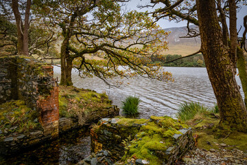 Fototapeta na wymiar Landscape of Ireland with lake