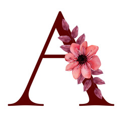 Burgundy Red Alphabet Letter A With Hand Drawn Autumnal Boho Floral Composition. Watercolour Dahlia Flower Isolated on White Background. Fall Floral Clipart Perfect For Greetings, Invitations Designs