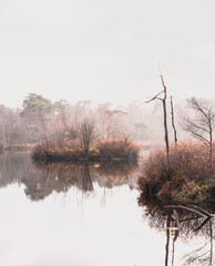 Foggy reflection of small islands and bushes in a forest pond 