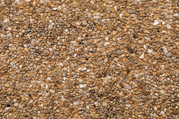 The pattern small brown pebbles stone as background. pebbles texture wall and floor.