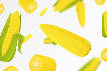 Corn background. Flying fresh yellow ripe corn on transparent background. Flat design. Falling corn, isolated vegetables. Nature product. Vector illustration