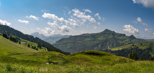 Fototapeta na wymiar Alpenpanorama im Sommer in Österreich