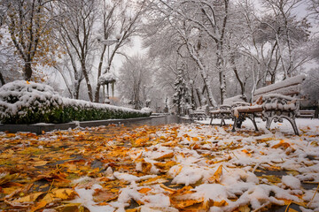 Yellow fallen leaves on the alley under the snow in the city park at the beginning of winter
