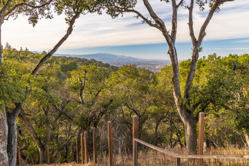 California-Los Gatos