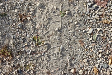 A close view of the rock and pebble gravel surface.