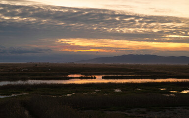 Sunset at Trabucador beach, Ebro Delta. With a warm natural light. Tarragona, Spain