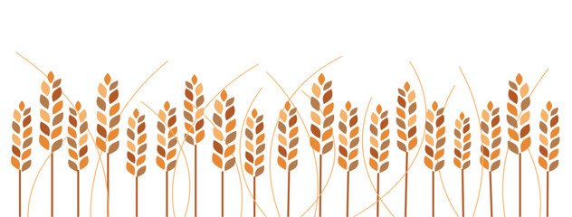 Gold wheat field vector illustration