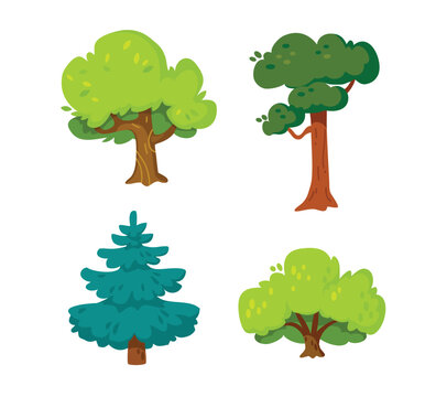 Set colllection of deciduous and evergreen forest trees, plants in flat vector design isolated on white background. Botanical collection of trees with leaves and lush crowns. Flat vector illustration.