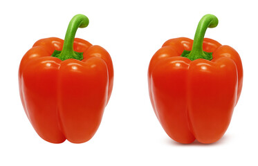 パプリカのリアルなイラスト