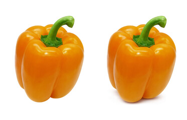 パプリカ イラスト リアル