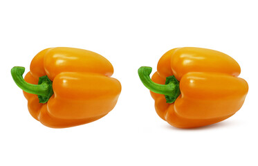 パプリカ イラスト リアル