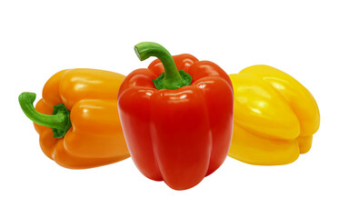 パプリカのリアルなイラスト