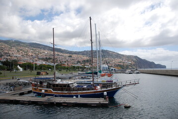 Fototapeta premium Madera