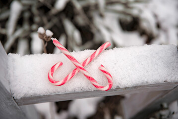 Lizaki świąteczne © Monika