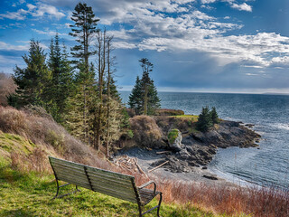 Beach Landscape At Pile Point