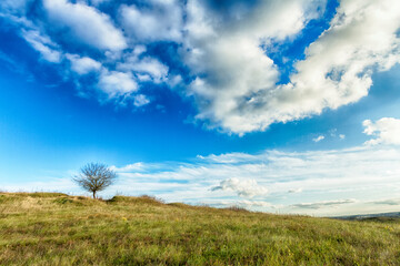 Fototapeta na wymiar Landscape autumn with lonely tree on the hill, autumn Poland, Europe and amazing blue sky with clouds, sunny day