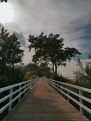 Brown Wooden Bridge Near Green Trees Under Cloudy Sky
