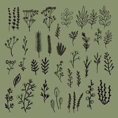 floral pattern botanical set