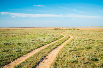 Fototapeta na wymiar Green steppe and a road leading into the distance on a sunny day.
