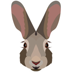 Fototapeta na wymiar Vector Cartoon Hare Head. Front View.