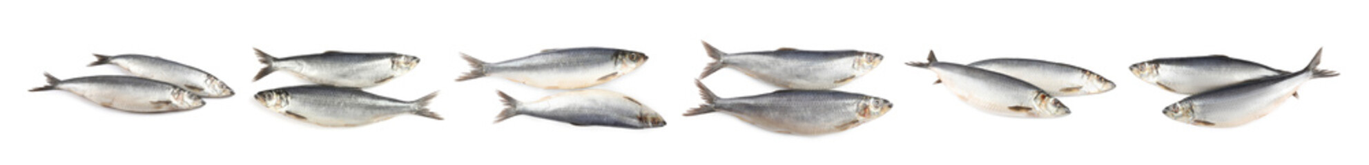 Set with tasty salted herrings on white background. Banner design
